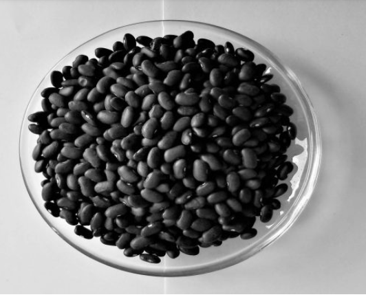 Black Kidney Beans