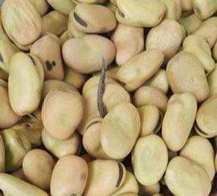 Tanzania agricultural product