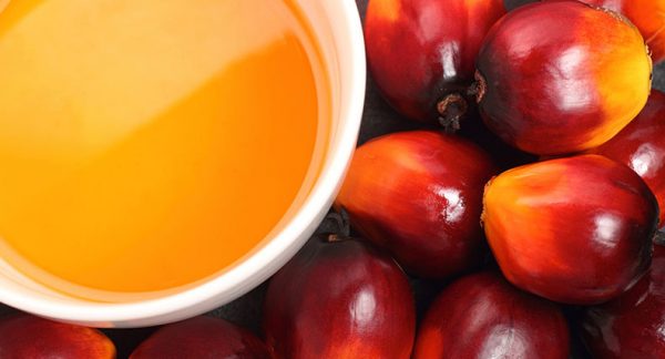 Crude Palm Kernel Oil (cpko) - Image 3